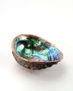 Copper Paua Shells