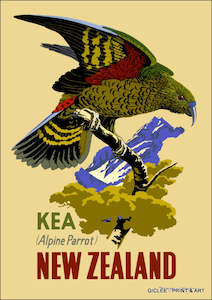 Vintage NZ Tourism Prints - Kea