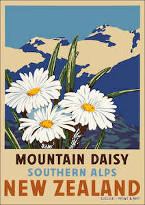 Vintage NZ Tourism Prints - Mountain Daisy
