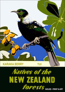Vintage NZ Tourism Prints - Tui Bird