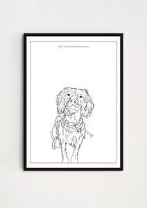 Custom Illustrations: Pet Illustrations