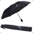 Products: Umbrella Folding w/sleeve - The Fern Brand
