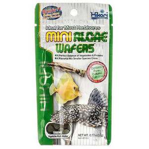 Bottom Dweller: Hikari Algae Mini Wafers