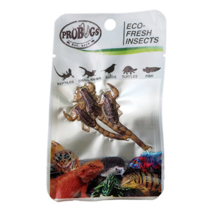 Probugs: ProBugs Scorpion