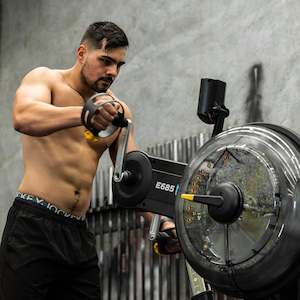 Arm Cycle: Arm Cycle E685