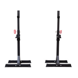 Squat Stand (Max Loaded 200kg)