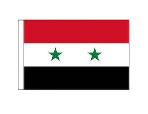 Boat Courtesy Flags: Syria (Small)