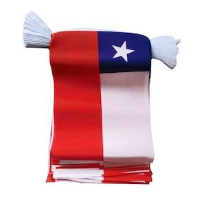 Bunting: Chile - Flag Bunting