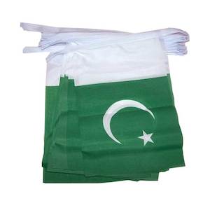 Bunting: Pakistan - Flag Bunting