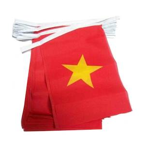 Bunting: Vietnam - Flag Bunting