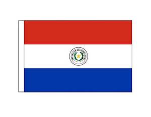 Paraguay (Small)