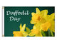 Daffodil Day