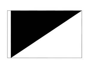 Black/White Diagonal - Infringement (Medium)