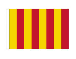 Racing Flags: Yellow/Red - Track Issue (Medium)