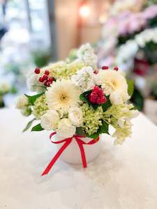 Christmas Collection: Gather