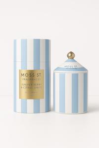 Candles: Juniper Berry & Citrus Spritz Ceramic Candle