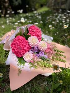Soft Harvest