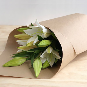 Frontpage: Rolled Wrapped Lilies