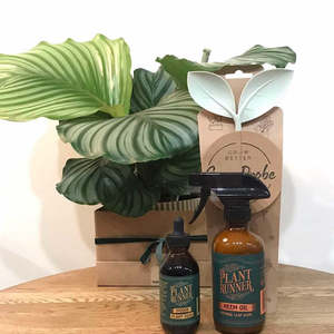 Gifts: The Happy Houseplant Box