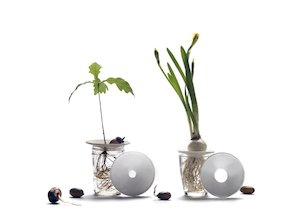 Plant Accessories: Propagation Plate - Small