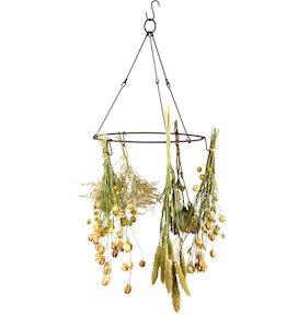 Plant Accessories: Dried Flowers and Herb Dryer