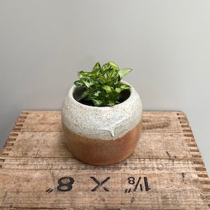 Pottery: Pottery Vessel #210