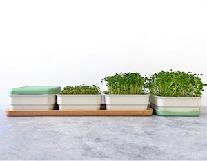 Seeds: Micropod - Continuous Starter Kit