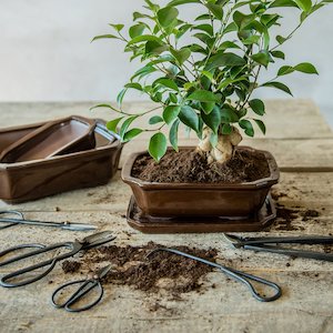 Garden Accessories: Bonsai Root Hook