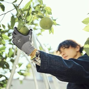 Gloves: Niwaki Gardening Gloves