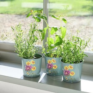 Burgon & Ball - Aster Herb Pots