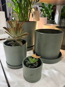 The Portland Pot, Olive