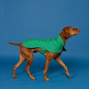 Blunt: Blunt - Dog Jacket, Park Green