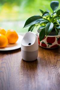 Konna Fruit Fly Trap