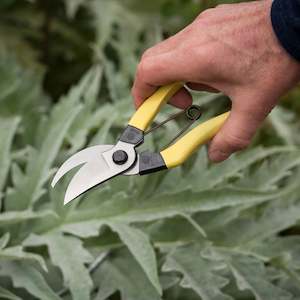 Pruning: Niwaki - Mainichi Secateurs