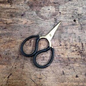 Pruning: Brass Flower Snips
