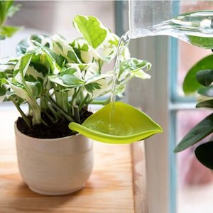 Leaflow - Pot Watering Funnel