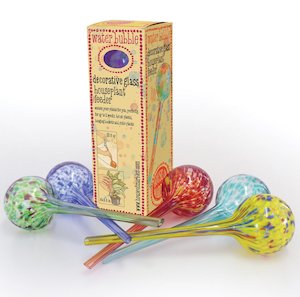 Water Bubble - Houseplant Feeder