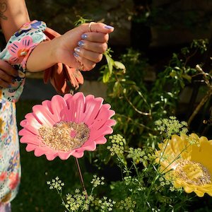 Bamboo Sunflower Bird Bath/ Feeder