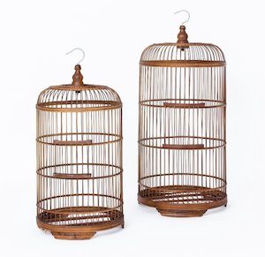 Bird Life: Raffles Antique Bird Cage