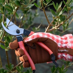 Burgon & Ball - Collectors Red Bypass Secateurs