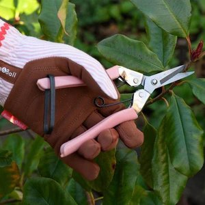 Burgon Ball: Burgon & Ball - Collectors Blush Fruit & Flower SNips