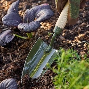 Burgon Ball: Burgon & Ball - BoronGreen Hand Trowel