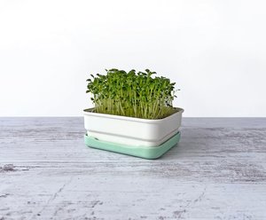 Micropod - Mini Starter Kit, New & Improved!