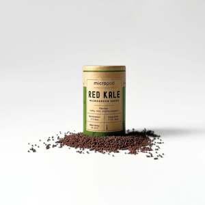 Micropod - Seedtube, Red Kale
