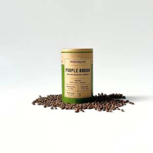 Micropod - Seedtube, Purple Radish