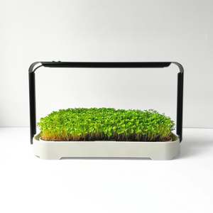 Micropod - Micro Garden Kit