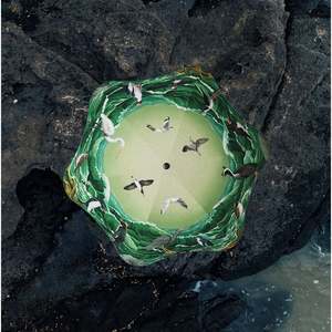 Blunt Umbrellas - Metro, Forest & Bird 2025 Ltd Ed