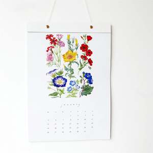 Calendars Planners: Hydrangea Ranger - 2026 Wall Calendar