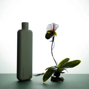 Memobottle - Slim Stainless Steel, Pistachio