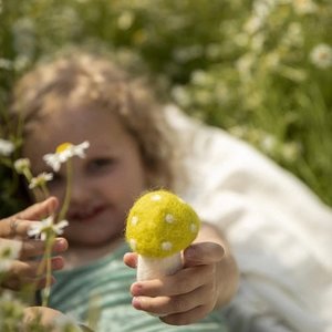 Muskhane: Muskhane Dotty Mushroom, X Large